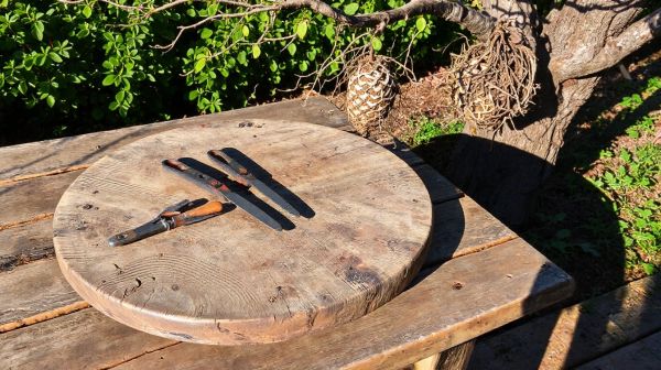 Évitez les erreurs courantes pour enlever un nid de guêpes